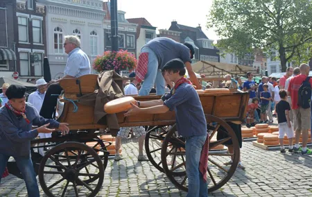 Private Day Tour from Amsterdam into the Countryside
