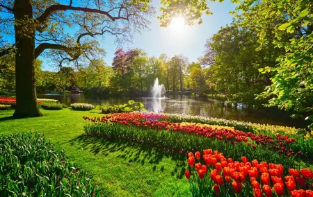 Private Floral Adventure from Amsterdam