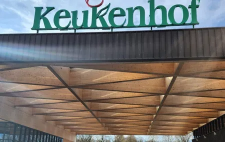 Amsterdam to Keukenhof Garden And Zaanseschans Windmills