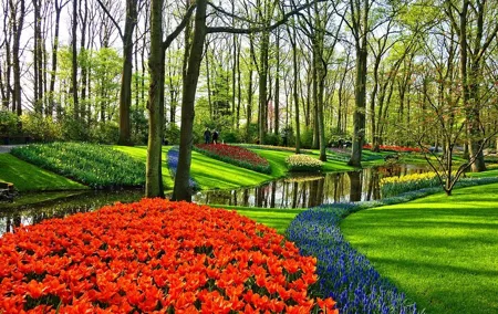 Private 4 hour Keukenhof Gardens Tulip Fields Tour from Amsterdam
