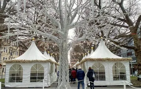 8 hours Dresden Private Christmas Market Tour from Prague