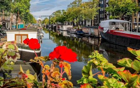 Private Half-Day Walking Tour of Amsterdam