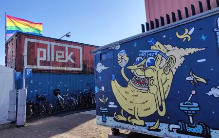 Guided Tour among the Street Arts and Hippy Places of Amsterdam Noord