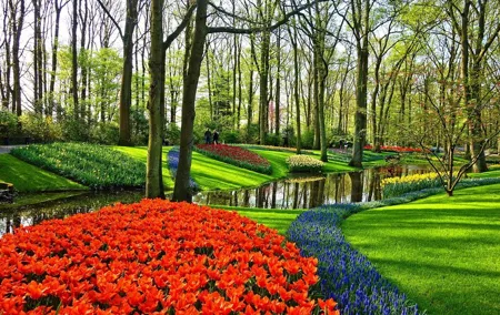 Keukenhof & Zaanse Schans: Private Tour From Amsterdam