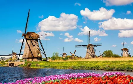 Explore Kinderdijk, Delft, and The Hague Day Tour from Amsterdam