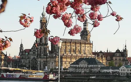 Historic Dresden Private Walking Tour