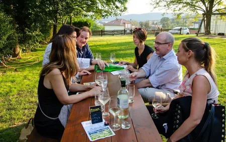 Countryside Half Day Wine Tour near Vienna