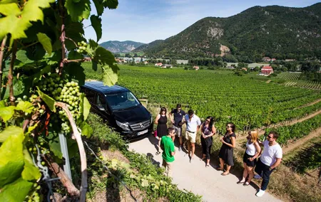 Wachau Valley Small-Group Tour and Wine Tasting from Vienna