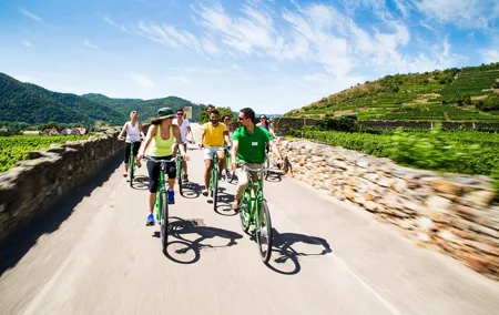 Wachau Valley Wine Tasting Bike Tour from Vienna