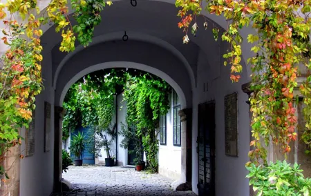 Hidden Gems in Vienna Inner City a Private Walking Tour