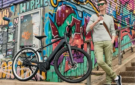 Amazing Vienna on Electric Bike