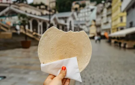 Transfer from Prague to Karlovy Vary: Private daytrip with 2h for sightseeing