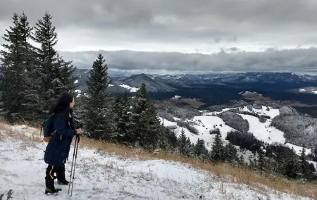 4-Hour Private Alpine Great George at High Wall Mountain from Vienna