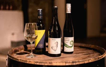 Viennese Wine Tasting in a Private Hidden Wine Cellar