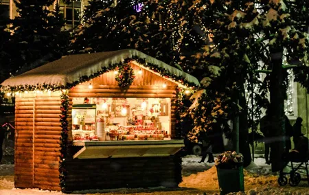 Ultimate Vienna Christmas Tour : 9 Markets & Old Town (EN/DE)