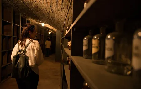 Historical Pharmacy Cellar Guided Tour