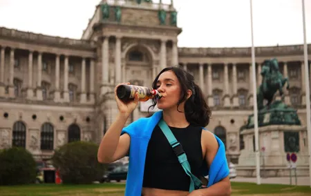 Friday Night Pub Crawl for Professionals in Vienna, Austria
