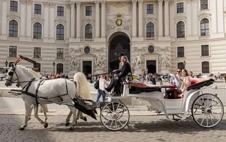 Vienna Horse-Drawn Carriage Ride with Sparkling Wine and Food