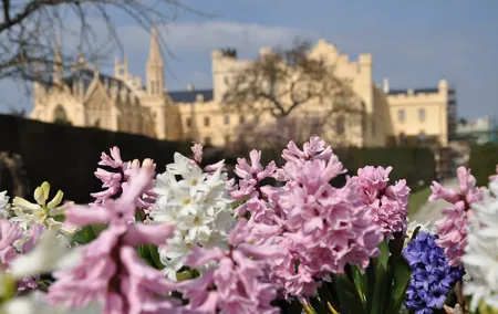 Private 4 Castles Day Trip from Vienna to South Moravian Region