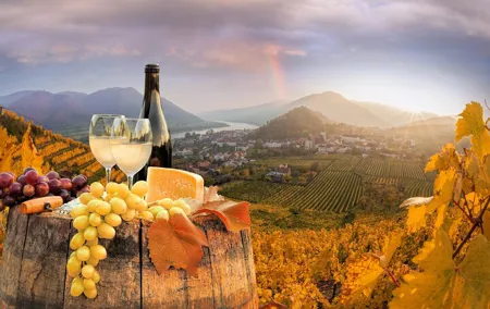 Vienna Wine Tasting Tour with Private Wine Expert