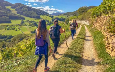 Wachau World Heritage Hike