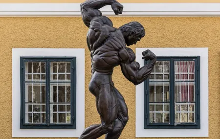 Private Day Tour Graz and Arnold Schwarzenegger Museum