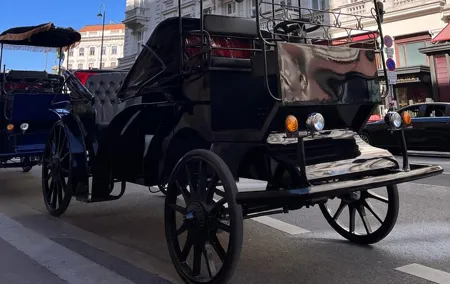 Vienna: 60 min. Royal E-Carriage Sightseeing Tour with Drinks