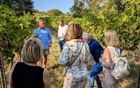 Small-group Vienna Wine Tour
