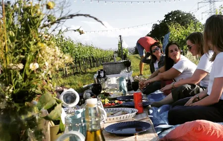 Wine Picknick overlocking vienna