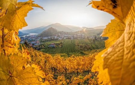 Vienna: Wachau Wonders & Magical Hallstatt Small-Group Day Trip