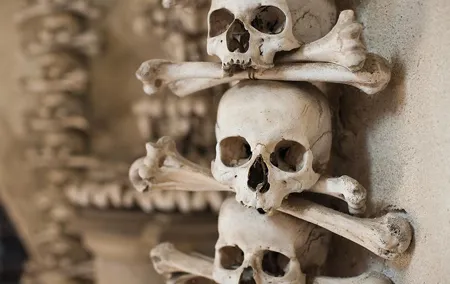 Day Trip to Kutná Hora by train from Prague