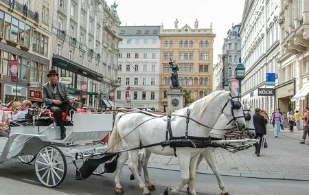 Layover in Vienna a Private Tour with a local: Best Highlights of Vienna