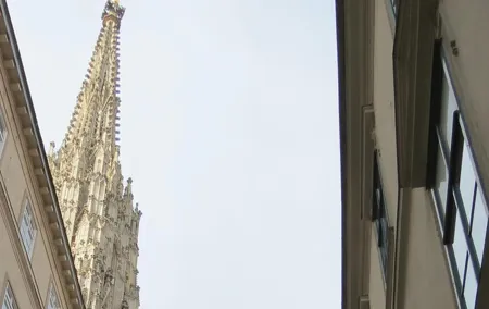 St. Stephen's cathedral - old symbol newly discovered