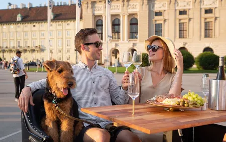 Vienna Wine Tasting Experience in a Classic Oldtimer