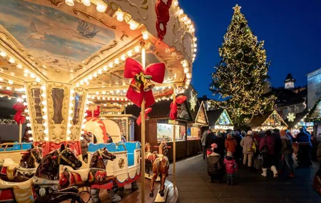 Christmas day trip: Vienna to Salzburg, English speaking driver