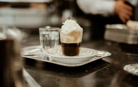 2.5 Hours Viennese Coffee House Culture Tour with Tastings