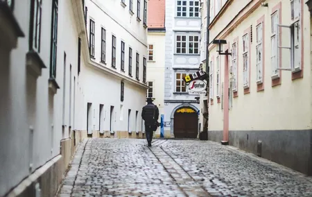 Mystery rally : True Viennese crime story(s)
