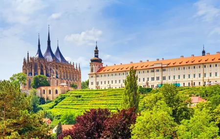Private Day Trip to the Medieval Town of Kutna Hora