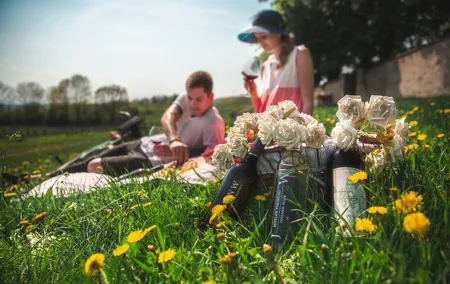 Private PICNIC in Bohemian Vineyards and Wine Tasting 4WD Tour