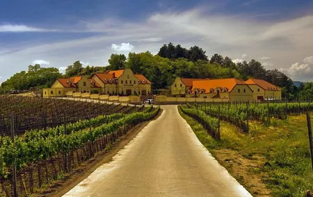 2day private tour of wine region in Czech Republic from Vienna