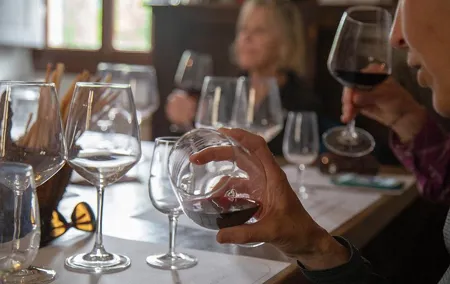 From Florence to Chianti Rufina: Wine Tasting Experience
