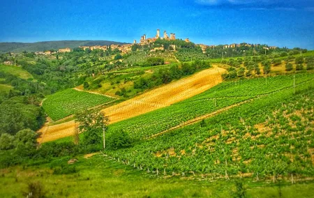 Chianti to San Gimignano Bike Tour