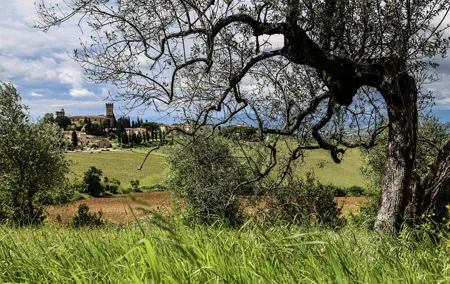 The Best of Chianti Classico E-bike tour