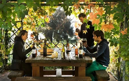 Organic Winery Tour and Tasting in Tuscany