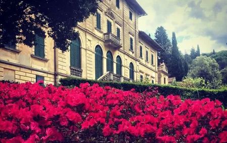 Wine Tasting Activity at Chianti Rufina