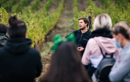 Wine Tasting Experience near Florence