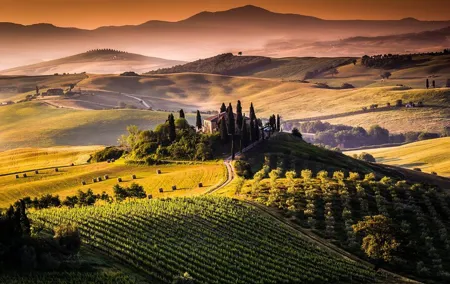 Siena and San Gimignano with Lunch &WineTasting from Florence