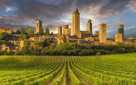 Tuscany Countryside Full-Day Tour from Florence with Wine Tasting