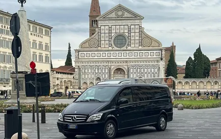 Private educational and guided custom tours by walk and by confortable M/B van