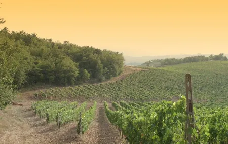 Luxury Chianti Tour